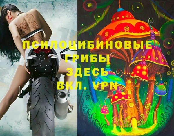 ГАЛЛЮЦИНОГЕННЫЕ ГРИБЫ Алексин