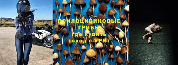 ГАЛЛЮЦИНОГЕННЫЕ ГРИБЫ Алексин