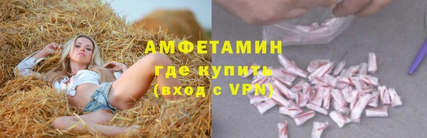 ГАЛЛЮЦИНОГЕННЫЕ ГРИБЫ Алексин