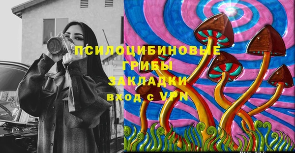ГАЛЛЮЦИНОГЕННЫЕ ГРИБЫ Алексин