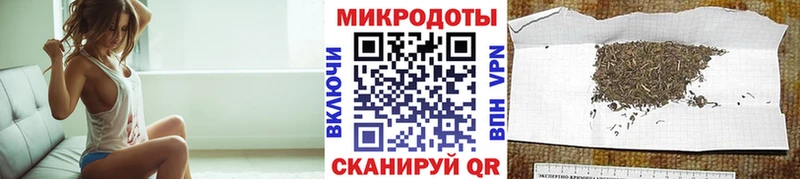 закладка  Слободской  Псилоцибиновые грибы Psilocybe 